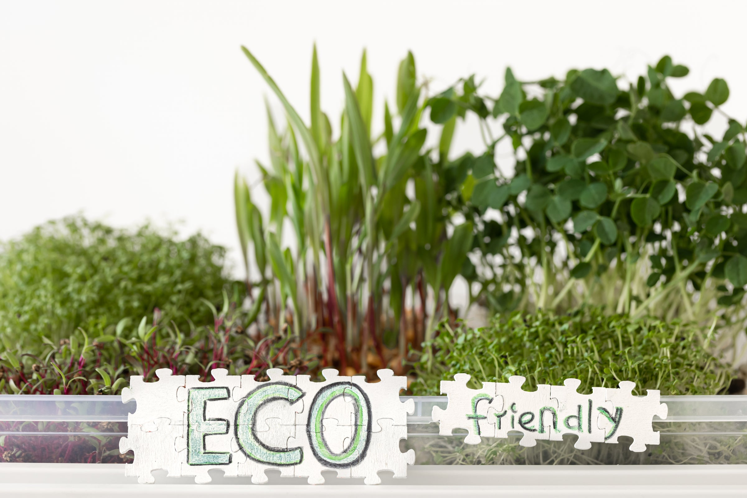 Grow Smarter with Eco-Friendly Weed Control